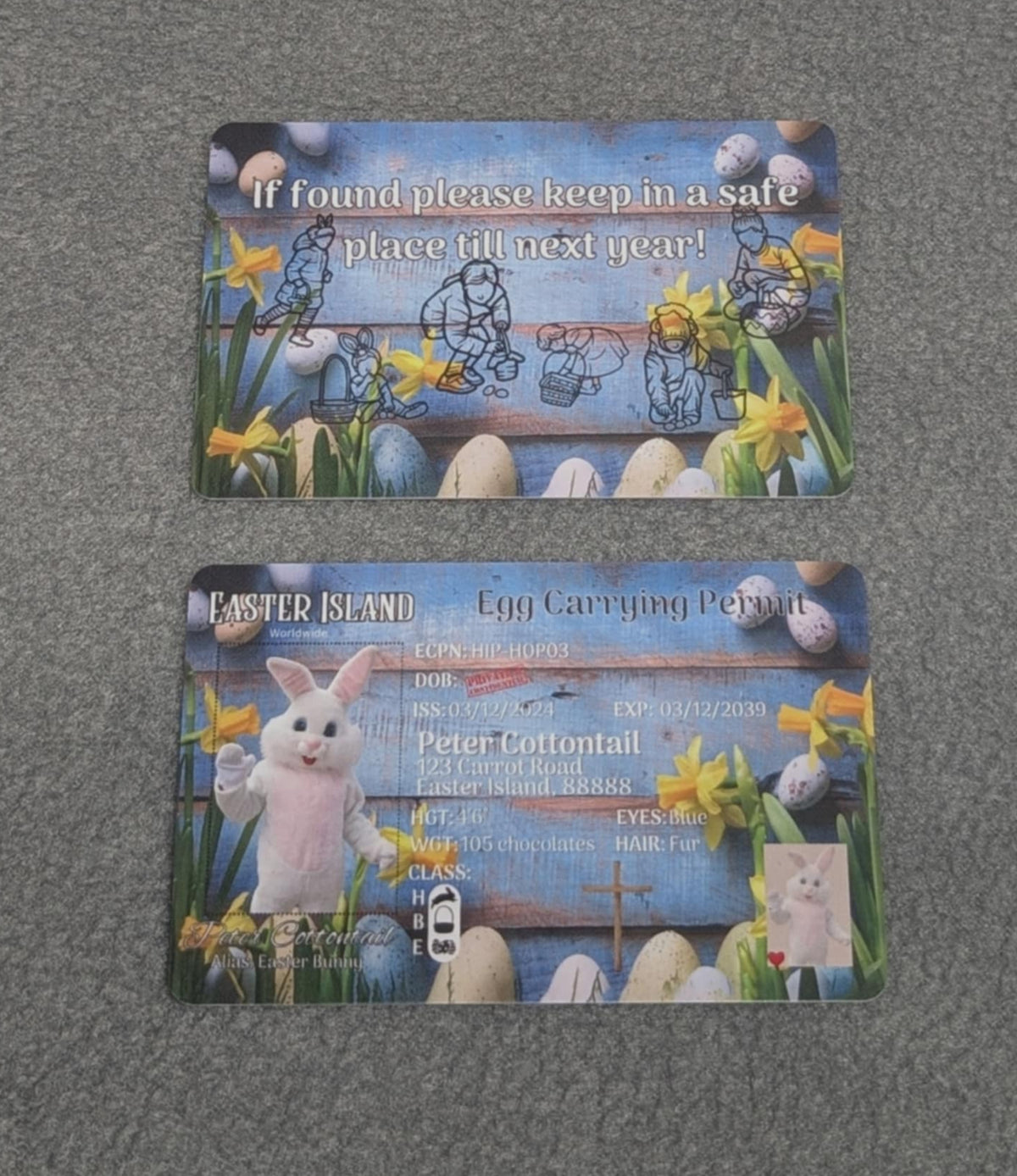 Easter Bunny Evidence Kit, Easter Bunny Gifts, Easter Basket