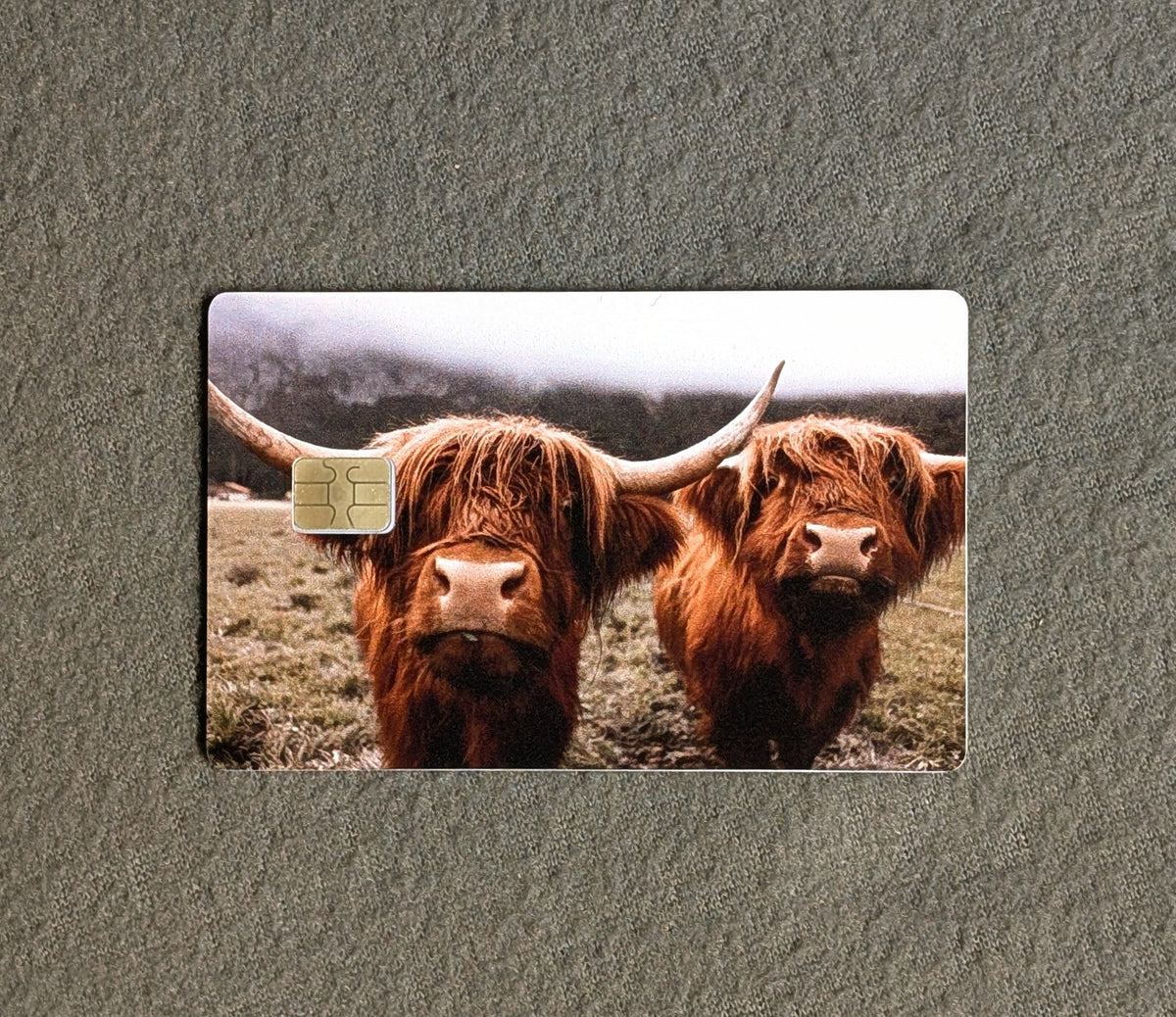 Mini Highland  Card Protector Sticker, Overlay, Decorative Only